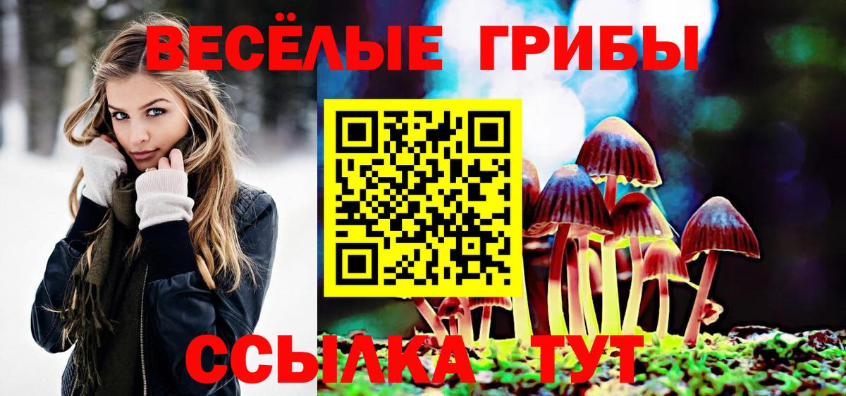 Галлюциногенные грибы прущие грибы  закладки  Красноперекопск  Вход с VPN 