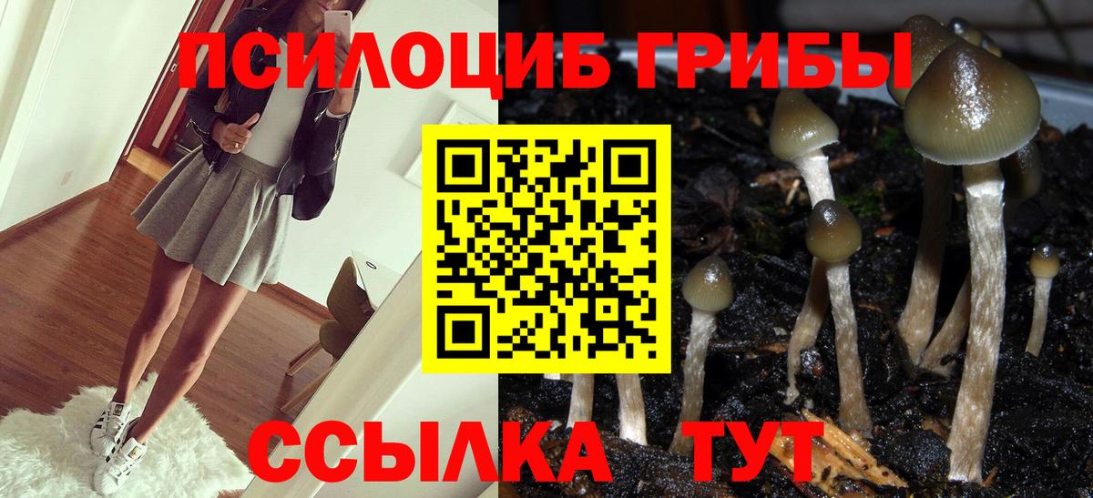 Псилоцибиновые грибы прущие грибы Красноперекопск